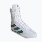 Buty bokserskie adidas Box Hog 4 cloud white/collegiate green/core black