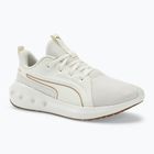 Buty do biegania PUMA Softride Carson warm white/puma gold