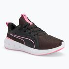 Buty do biegania PUMA Softride Carson puma black/mauved out