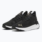 Buty do biegania damskie PUMA Softride Symmetry Fuzion puma black/puma gold