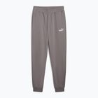 Spodnie męskie PUMA ESS No. 1 Logo Sweatpants TR CL cast iron