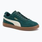 Buty męskie PUMA Club II Era Suede dark myrtle/alpine snow/gum
