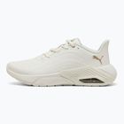 Buty do biegania damskie PUMA X-Cell Nova CAT SL warm white/puma gold