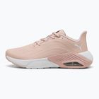 Buty do biegania damskie PUMA X-Cell Nova CAT SL rose quartz/silver mist
