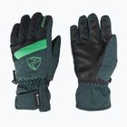 Rękawice narciarskie dziecięce ZIENER Leif GTX dark jungle