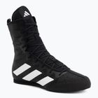 Buty bokserskie adidas Box Hog 4 black/white