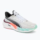 Buty do biegania męskie PUMA Velocity Nitro 4 Hyrox puma white/mint