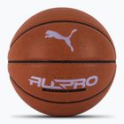 Piłka do koszykówki PUMA teamJAWS All Pro Basketball leather brown/puma black rozmiar 7