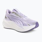 Buty do biegania Puma Maxima Pro light lavender/plum purple