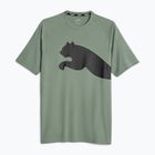 Koszulka męska PUMA Train All Day Big Cat eucalyptus/puma black