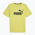 Koszulka męska PUMA Es Logo Tee (S) lime sheen