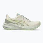 Buty do biegania męskie ASICS GT-1000 13 TR nature bathing/lime green