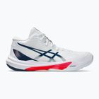 Buty męskie ASICS Sky Elite FF MT 3 white/mako blue