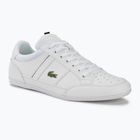 Buty męskie Lacoste 42CMA0014 white/black