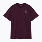 Koszulka rowerowa Endura Pedal Power Graphic Tee sage green