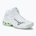 Buty do siatkówki damskie Mizuno Wave Voltage Mid white/glacial ridge/patina green