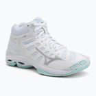 Buty do siatkówki damskie Mizuno Wave Voltage 2 Mid white/blue tint