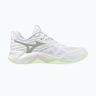 Buty do siatkówki damskie Mizuno Wave Momentum Pro white/aqua gray/ambrosia