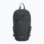 Plecak miejski REGATTA Everyday Prism 20 l ash