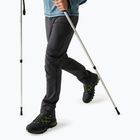 Spodnie softshell męskie REGATTA Geo Softshell ash