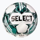 Piłka do piłki nożnej SELECT Numero 10 v23 white/green rozmiar 5