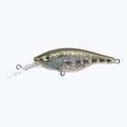 Wobler FishTank Charlie Black/Dust PRD-CH5F-BD