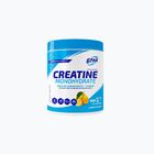 Kreatyna 6PAK Creatine Monohydrate 500 g Lemon