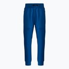 Spodnie męskie Pitbull Pants Alcorn royal blue