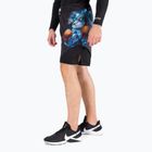 Spodenki grapplingowe męskie Pitbull Grappling Master Of Boxing black
