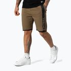 Spodenki męskie Pitbull Saturn coyote brown