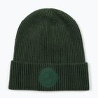 Czapka zimowa Pitbull Beanie San Diego Ca dark green