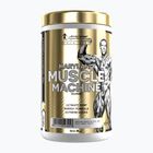 Przedtreningówka Fitness Authority Levrone Gold Maryland Muscle Machine 385 g fruit punch