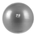 Piłka gimnastyczna Gipara Fitness 3143 75 cm szara