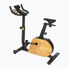 Rower elektryczny XTREXO EB400 czarny