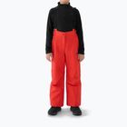 Spodnie narciarskie dziecięce 4F Fnk M0949 red