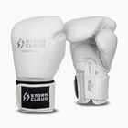 Rękawice bokserskie StormCloud Muay Thai Blizzard 2.0 white/silver