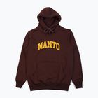 Bluza męska MANTO Varsity brązowy