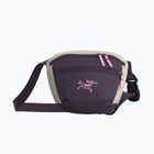 Saszetka nerka Arcteryx Mantis 1 1,5 l cosmic bloom