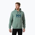 Bluza męska Helly Hansen HH Logo Hoodie cactus