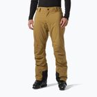 Spodnie narciarskie męskie Helly Hansen Legendary Insulated lynx