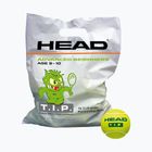 Piłki tenisowe dziecięce HEAD Tip Green 72B 72 szt. green