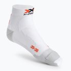 Skarpety X-Socks Run Discovery arctic white/dolomite grey