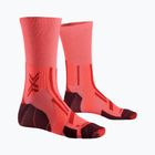 Skarpety męskie X-Socks Trailrun Perform Crew fluo red/namib red