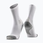 Skarpety X-Socks Run Discover Crew arctic white/pearl grey