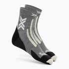 Skarpety X-Socks Hike Discover Merino Ankle seal grey/light sand