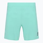Spodenki do biegania męskie SCOTT Endurance LT miami green