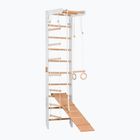 Drabinka gimnastyczna RINAGYM SPR B+SLIDE