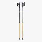 Kije nordic walking Masters Physique Carbon