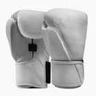 Rękawice bokserskie Hayabusa T360 Leather white