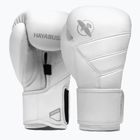 Rękawice bokserskie Hayabusa T3 Kanpeki arctic white